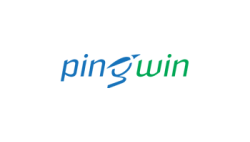 Логотип PingWin Software