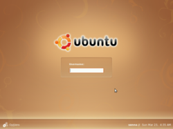 Графический вход в Ubuntu Linux