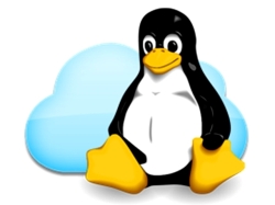Linux в облачной инфраструктуре
