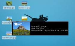 Предпросмотр изображения на рабочем столе Xfce 4.10