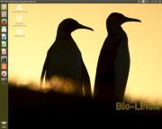 Bio-Linux 8 — Linux-дистрибутив для биоинформатиков