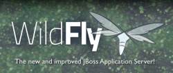 Логотип WildFly Логотип WildFly