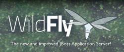 Логотип WildFly