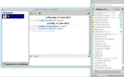 Skype 4.0 для Linux в Ubuntu