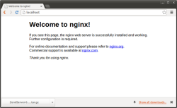 Сообщение об успешной установке nginx