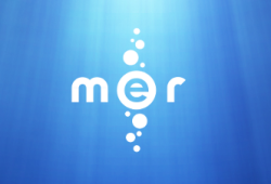 Логотип Mer Project