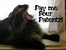 Lolcat: «Pay me four patentz»