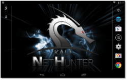 Скриншот Kali Linux NetHunter