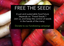 Инициатива OSSI по «освобождению» семян