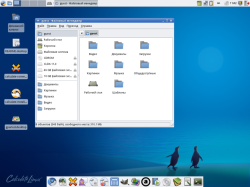 Рабочий стол Calculate Linux Desktop Xfce (CLDX)