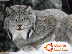Ubuntu 10.04 и ее Lucid Lynx