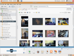 Picasa for Linux