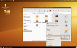 Скриншот 2-панельного Nautilus в Ubuntu 10.04