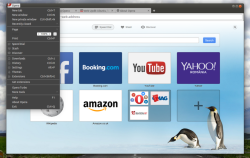 Скриншот Opera Developer 24 Скриншот Opera Developer 24