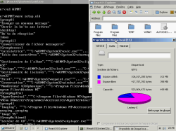 Информация о NTFS-разделе в ReactOS