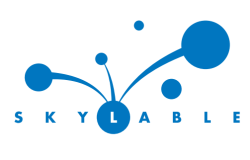 Логотип компании Skylable