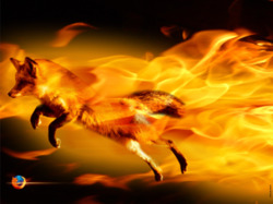 Лис Firefox в огне