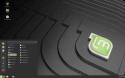 Linux Mint 20