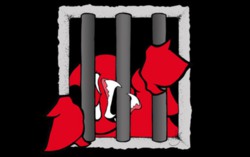 Известная зарисовка на тему FreeBSD Jails