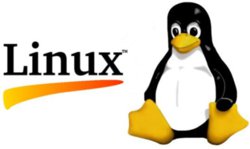 Тукс, символ Linux