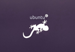 Вариант обоев для рабочего стола Ubuntu 13.10