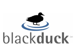 Логотип Black Duck Software