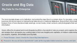 Фрагмент сайта Oracle про Big Data