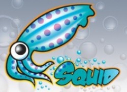 Логотип Squid