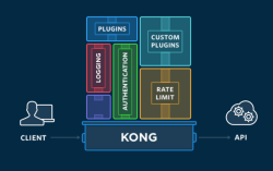Схема работы Kong