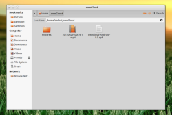 Файловый менеджер Nemo — форк Nautilus 3.4