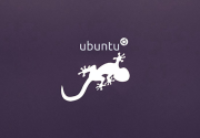 2 ноября в Москве состоится Ubuntu 13.10 InstallFest